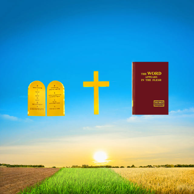 Eastern Lightning, The Church of Almighty God, God's work